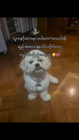 @♡ᴺᵃⁿ(စာတို)✭✰ 