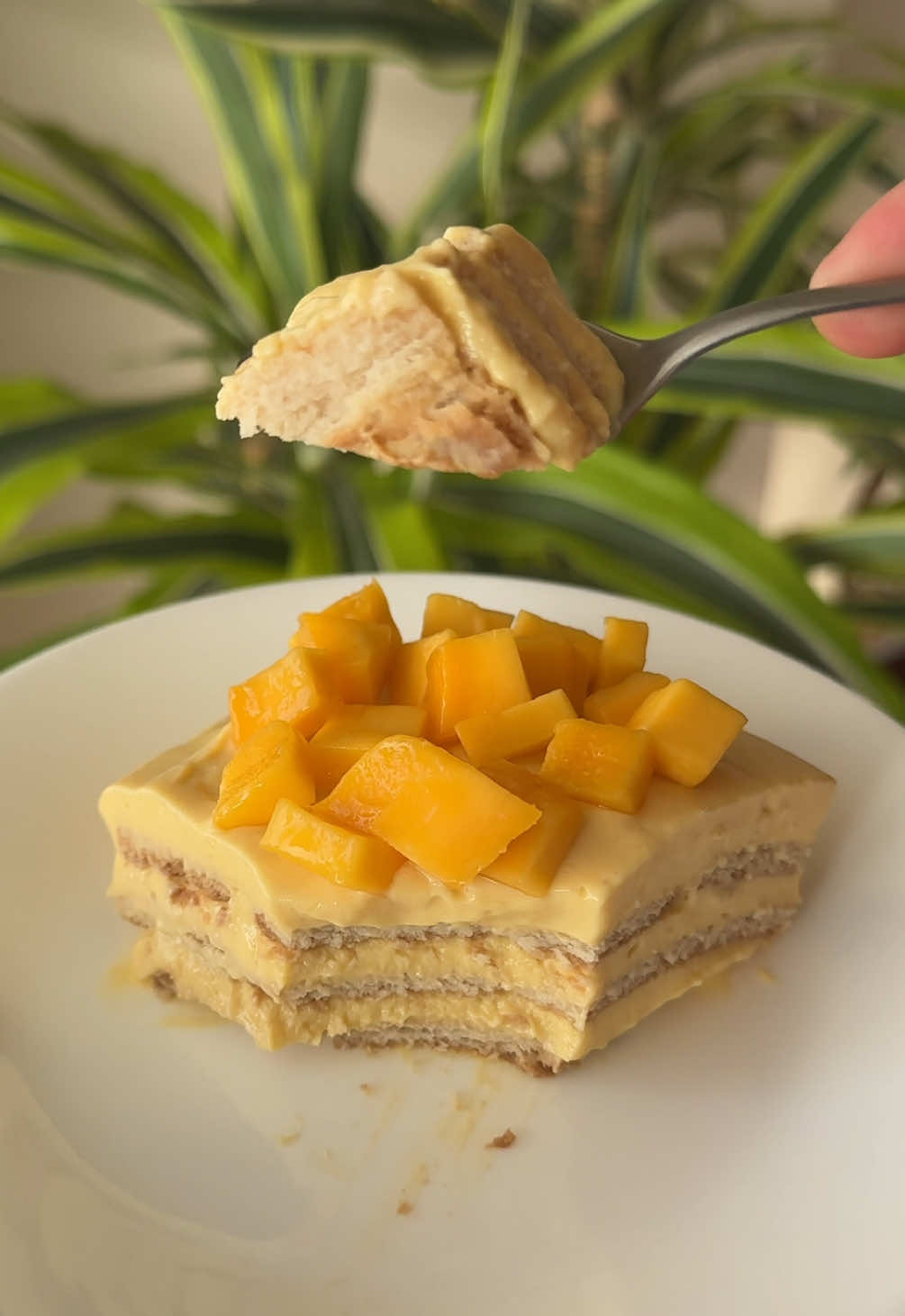 CARLOTA DE MANGO 🥭  Un postre facilito, sin horno y con solo 5 ingredientes 😋