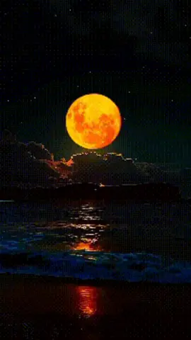 كلام من ذهب 👌🏻 #كلام_من_ذهب👌🏻 #كلام_من_القلب #كلام_من_ذهب #صلو_على_رسول_الله_صل_الله_عليه_وسلم #الحمدالله_علی_کل_حال❤ 