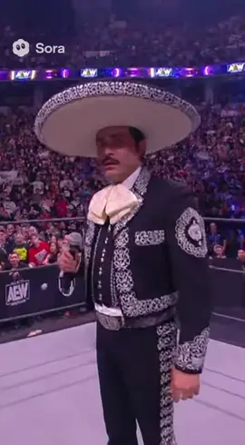 Maradona attacks Vicente Fernandez while performing 