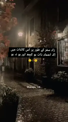 اپنی نادانیوں پہ کسی کو گواہ نہیں بناتے پاگل🙂#blackwhite #fyp #poe #shanaya 