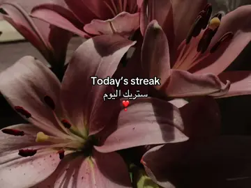 #قران_كريم #quran #ستريك #st #viral 
