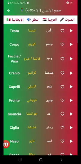 اعضاء جسم الانسان بالايطالي أعضاء الجسم باللغة الايطالية  كلمات ايطالي#ايطاليا🇮🇹 
