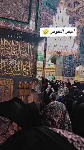 اطلبو حاجاتكم من مولاكم الرضا #اكسبلور #مشهد #ايران🇮🇷 
