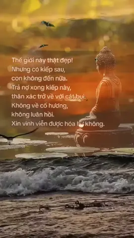 Hoa rơi cửa phật, vạn vật tùy duyên.