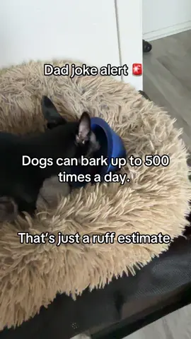 You already know it’s time for a #dadjoke