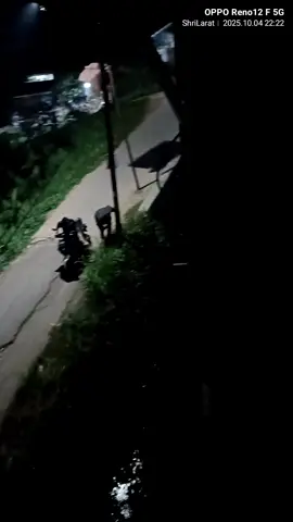 😑🤢🤮💩#meruyungd