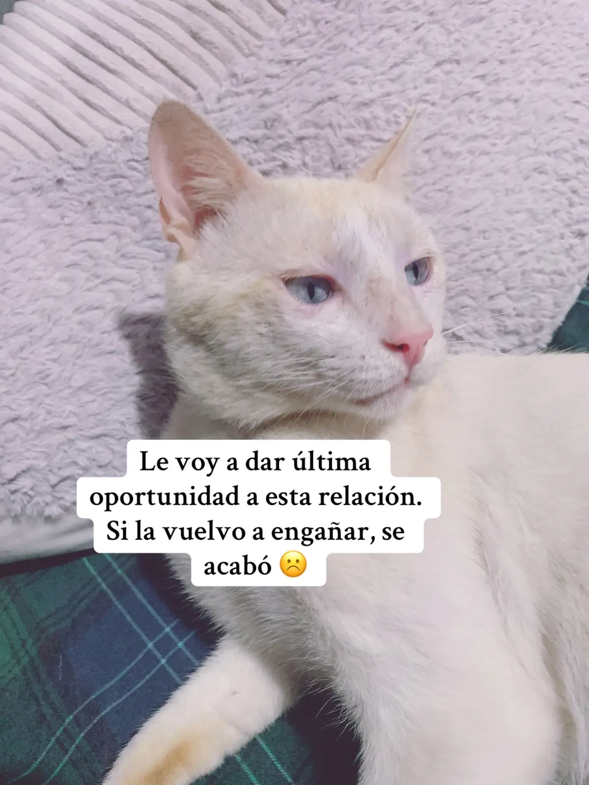 😹😹#viral 