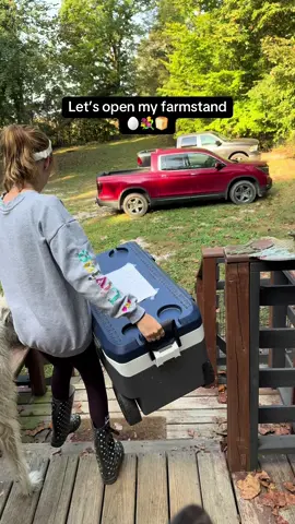 I seriously need a baking schedule so I can have way more goodies out!! I lowkey just bake whenever I have a free chance lol. #farmstand #microbakery #honorsystemfarmstand #farmstandlife #selfservefarmstand 