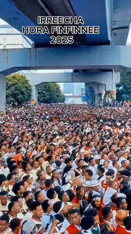 #ethiopian_tik_tok🇪🇹🇪🇹🇪🇹🇪🇹 #foryoupage #oromotiktok❤️💚❤️ethiopiantiktok #fypシ゚viral 
