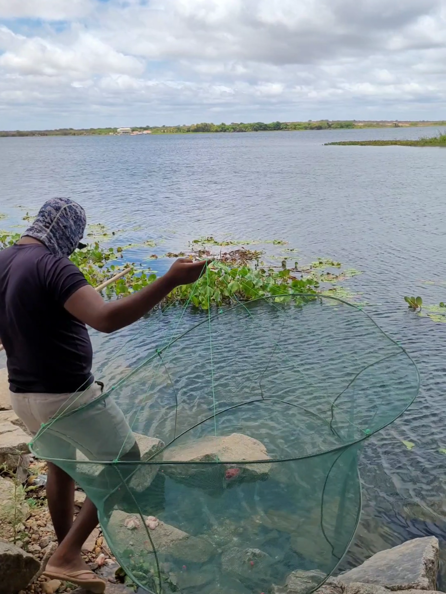Testando massa de pesca #pesca #pescaria #pescador 
