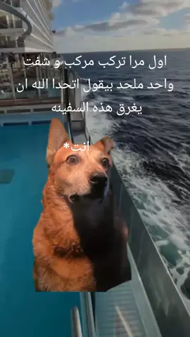 🤪 