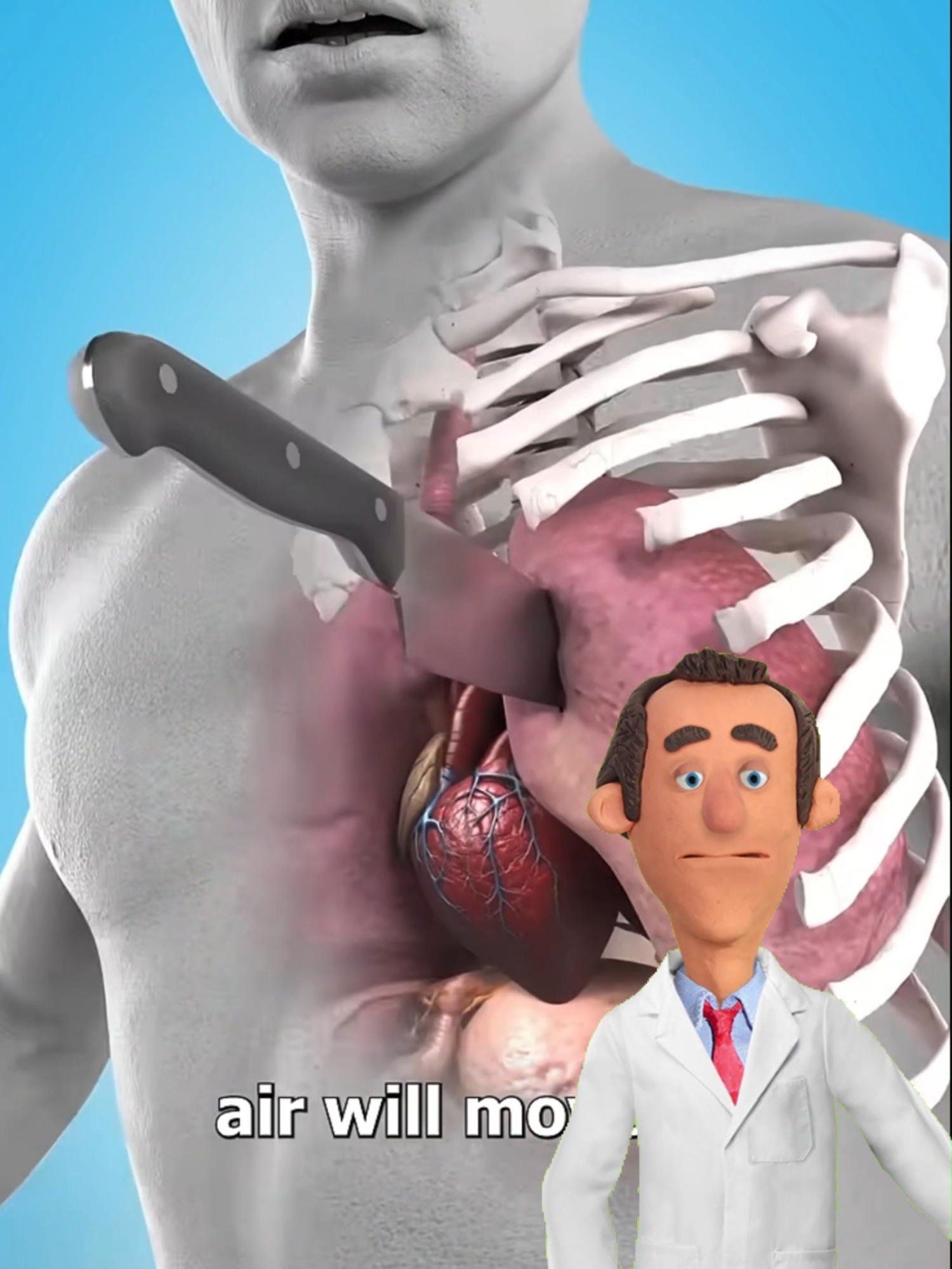 #fyp #curiosidad #curiosidades #fatosinteressantes