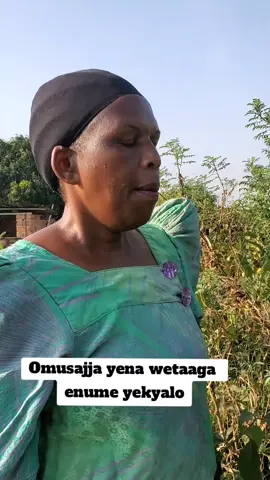 Omusajja lugoojamye, nkuleetedde edagala erikolerawo mu manyi gakisajja #edagala #fppppppppppppppppppp #fyyyyyyyyyyyyyyyy #fyp #foryoupage 