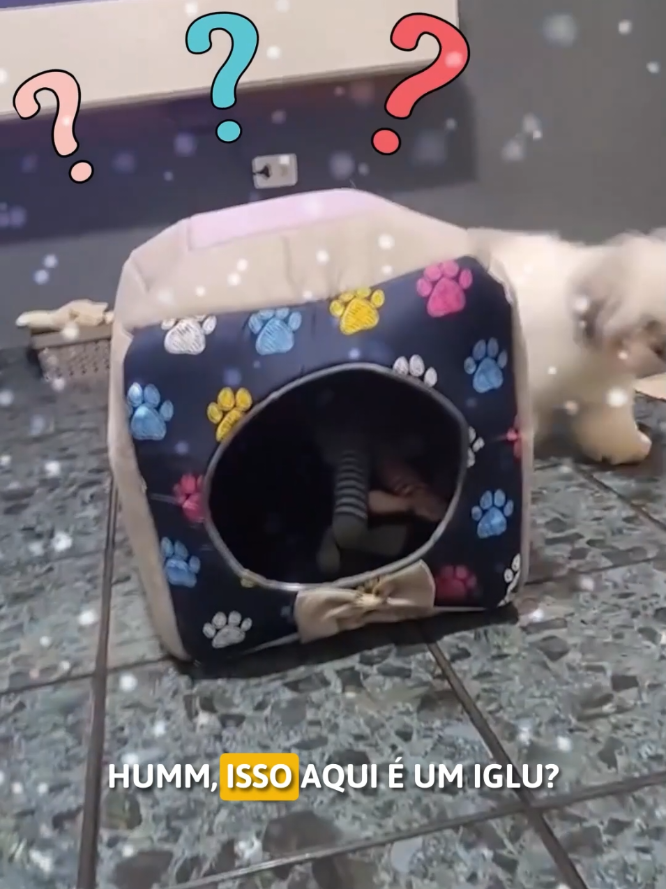 Cama Toca Iglu 3 em 1 É feita para cães e gatos, funcionando como cama, toca e sofá ideal para deixar seu pet protegido e quentinho, super confortável. #petlover #cama #fyp 