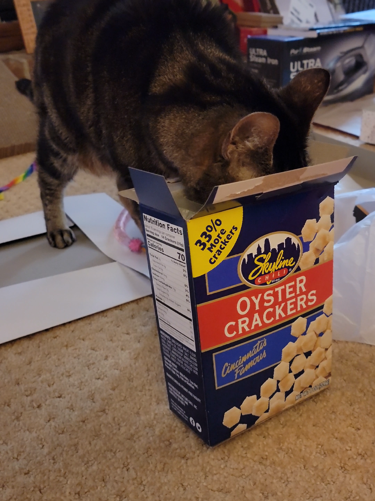 I broke down crying when the stray kitten happily snacked on oyster crackers just like Stan used to do 😭😭 @Skyline Chili #mademethinkofyou #rainbowbridge #soulmate #soulcat  #soulpet 