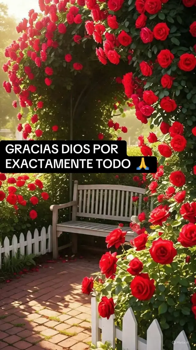 #SIEMPREAGRADECIDACONDIOS🙏 