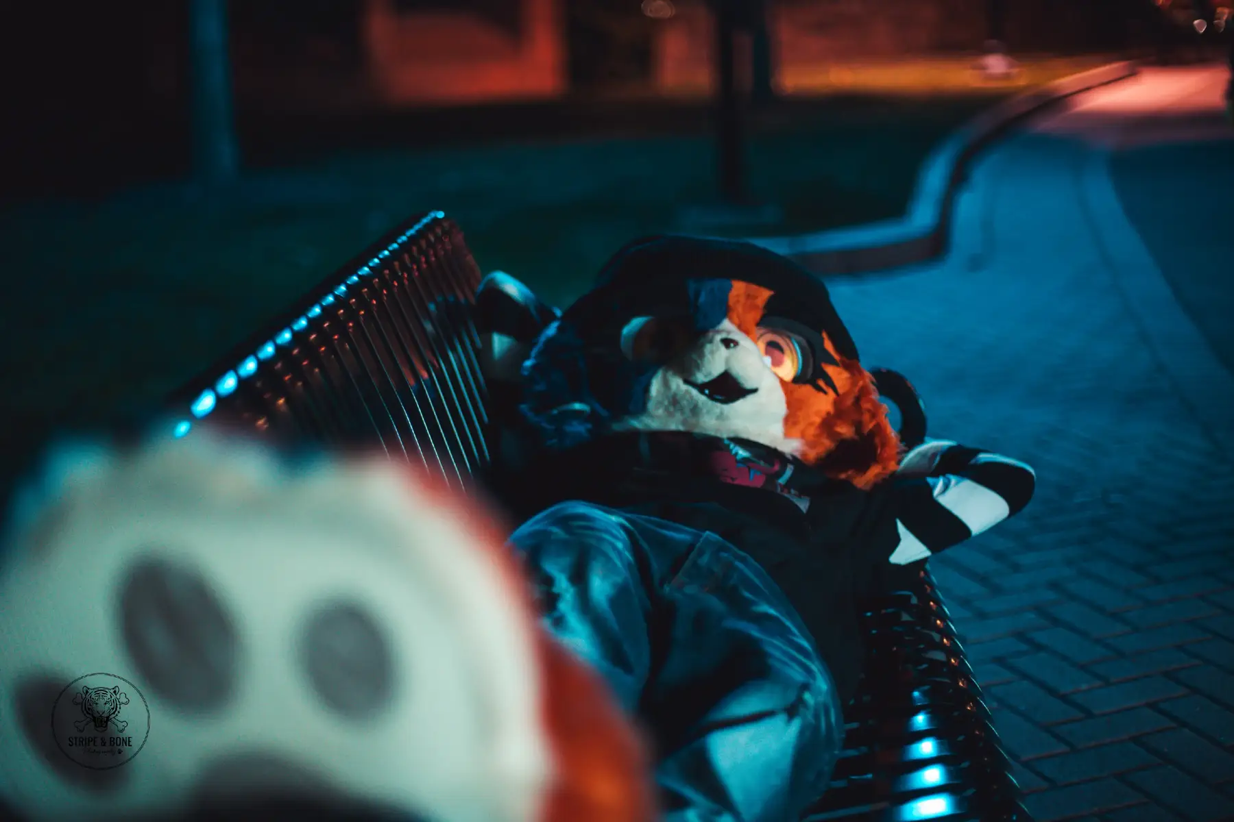 Thank you Morrow Sparks and Wire for the photos!! #furry #meowskulls  #furriesoftiktok #furrit #fyp 