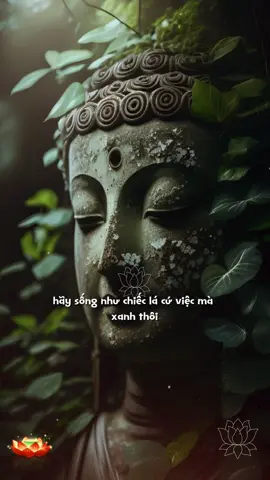 Hãy sống như chiếc lá, cứ việc mà xanh thôi #phatphapnhiemmau  #tinhthuc #chualanh  #phatphapchualanh 