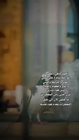 #CapCut #علي_المياحي #هاشتاك #يارب_فوضت_امري_اليك #يامهدي_ادركنا_العجل_العجل_الفرج_الفرج 