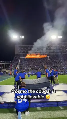 Cosmo the cougar the best mascot in College Football 😦 @Unnecessary Roughness (via:@Cosmo the Cougar) 