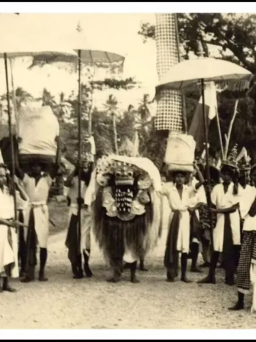 LAWAS !!  Petangian Ida Bhatara Dewa Ayu Sesuhunan Desa Adat Jimbaran Tahun 1930 an Dikutip dari buku Purana Pura Dalem Sarin Bwana karya Made Bawa: Tapel Barong Duwuran (keberadaan lebih awal) yang menjadi milik Pura Dalem Kahyangan, berasal dari kayu mundeh yang ditebang di setra (kuburan). Kayu tersebut ketika ditebang tidak langsung rebah, melainkan tetap ceking (terpaku berdiri). Pada malam harinya banyak orang mendengar suara tangisan dari arah pohon itu. Keesokan harinya, pohon tersebut kembali utuh seperti semula, seolah-olah tidak pernah ditebang. Setelah dilakukan upacara upakara di bawah pohon tersebut, barulah kayu itu dapat ditebang sempurna. Kemudian, kayu mundeh itu dipakai untuk membuat Tapel Barong dan Rangda oleh seorang Ida Bagus di Sanur. Saat masolah atau mapajar, Tapel Barong Duwuran selalu diiringi dengan lelontek Poleng. Tapel Barong Alitan (keberadaan belakangan) yang menjadi milik Pura Ulun Swi, Desa Adat Jimbaran, berasal dari kayu Pole di Dusun Bena. Kayu ini didapat melalui petunjuk gaib (kerauhan) dari tetua desa yang diminta mencari kayu di tempat tersebut. Saat masolah gede, Tapel Barong Alitan selalu diiringi dengan lelontek Putih. Seluruh Tapel Barong dan Rangda tersebut kini disimpan di Pura Parerepan, yang terletak beberapa meter dari Pura Ulun Swi, di Jalan Uluwatu, Jimbaran. Sumber foto : Ebay Reposted from: bali.sakral on instagram #petangian #mepajarjimbaran #sakral #sesuhunanjimbaran #fyp 