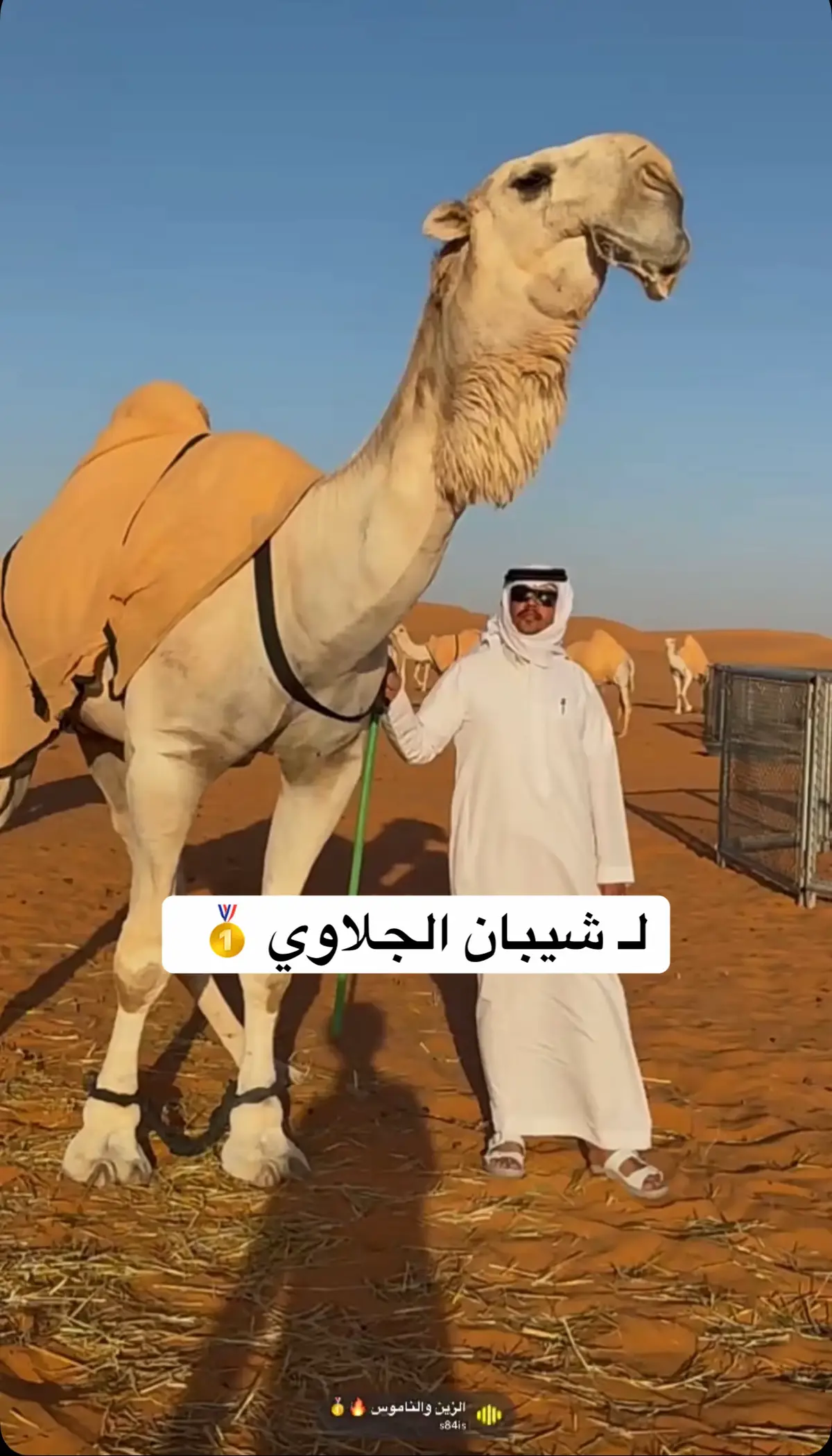 #اكسبلور #الصفر #الوضح #فنجال #الزمول_المنتجه 