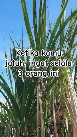 #fyp #monetisasi #jangkauanluas