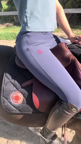 love riding on the track 🛹 #fyp #horse #equestrian #ride 