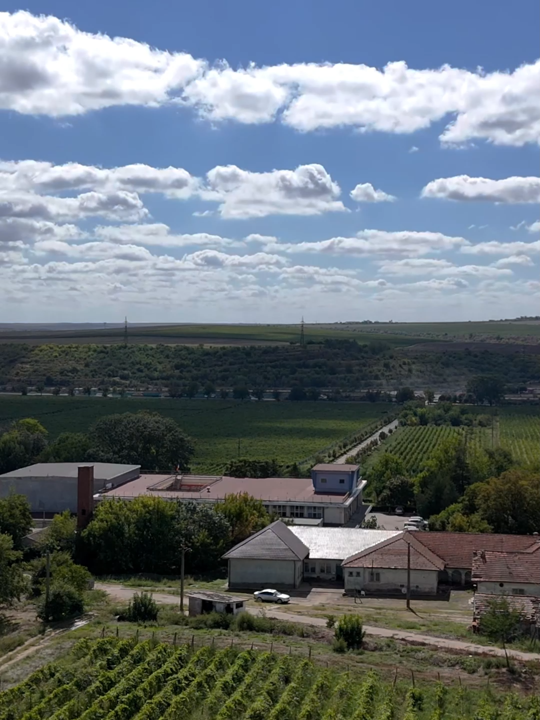 Observator Constanța îți prezintǎ o serie unicǎ de reportaje: poveștile din spatele cramelor şi vinurilor Dobrogei! Stațiunea de Cercetare Viticolǎ a dezvoltat soiuri unice, a scris istoria vinului dobrogean și continuă să apere viile de aici cu tehnologie și cercetare. Povestea lor e despre tradiție, inovație și curajul de a face vinul mai bun, generație după generație. #Constanța #Dobrogea #vin #winetasting #storytelling #traditionali #Murfatlar #StațiuneadeCercetareViticolă