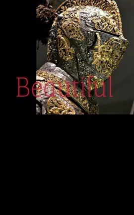 Late medieval/rennaissance parade armour (don’t quote me on that) #medieval #armour #aesthetic #fyp #moodboard 