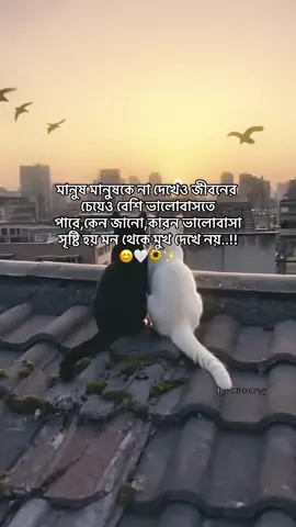 Hmm😊🤍🌻✨#vairal #vairalvideo #foryou #foryoupage #foryoupageofficiall 