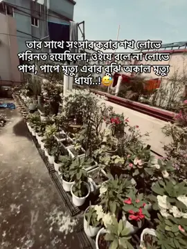 তার সাথে সংসার করার শখ লোভে পরিনত হয়েছিলো, ওইযে বলে না লোভে পাপ, পাপে মৃত্যু এবার বুঝি অকাল মৃত্যু ধার্য্য..!😅#hum🦋🙂🥹 #🙂😅____🦋🙂 #🦋🥀🦋🙂_🥀🦋😅 #gd_boy_tamjid 