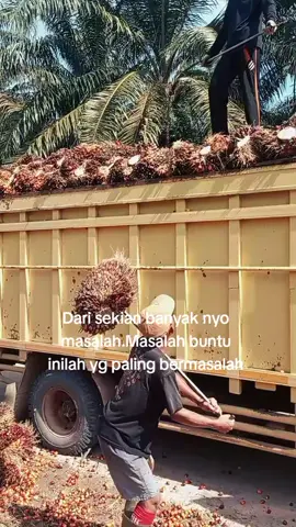 bermasalah nian pokoknyo  #palembangcity  #palembangpride  #palembangtiktok  #palembangfyp 