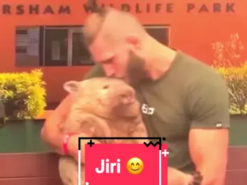jiri with the wombat #CapCut #jiriprochazka #UFC #wholesome #core  Jiří Procházka is a Czech mixed martial artist known for his unorthodox, explosive fighting style and philosophical approach to combat. Competing in the UFC’s light heavyweight division, he quickly gained attention for his wild movement, unpredictable striking, and knockout power. Before joining the UFC, Procházka was the Rizin Light Heavyweight Champion in Japan, where he built a reputation as a fierce and creative finisher. His samurai-like mindset, inspired by bushido principles, reflects in his calm yet intense demeanor both inside and outside the cage. Procházka’s fights are often chaotic and thrilling, embodying his belief in expressing oneself fully through combat — a philosophy that has made him one of the most unique and respected fighters in modern MMA.