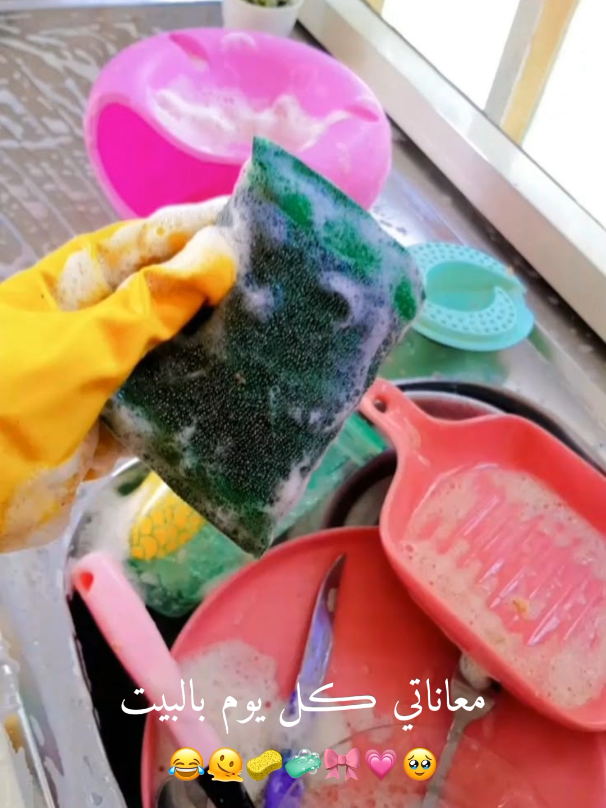 #شعب_الصيني_ماله_حل😂😂 #🎀🧸 #لايكات #🦋🦋 