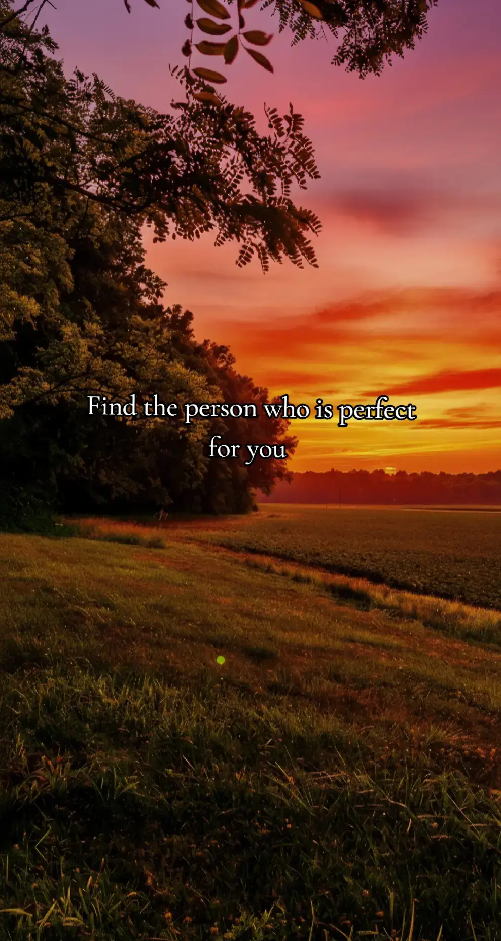 #fyp #inspiration #goodwillhunting #robinwilliams #sunset 