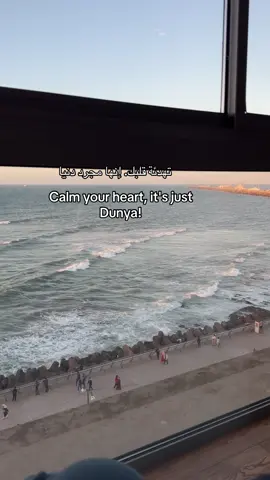 #quran #islam #Allah 