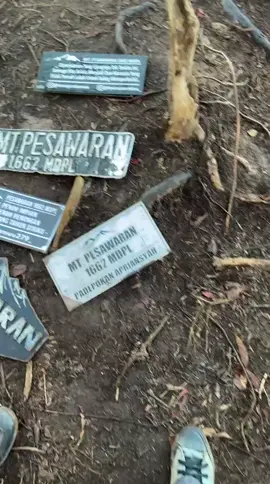 ini Merbabunya lampung?? @gunungpesawaran1662mdpl  #gunungpesawaran #pesawaran1662mdpl #mountain #gununglampung 