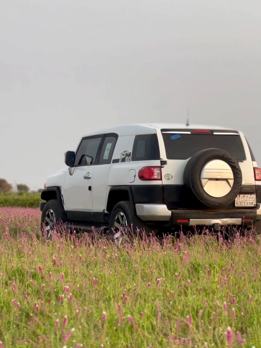 #تصوير #طبيعه #fj #ماشاء_الله #من_الارشيف 