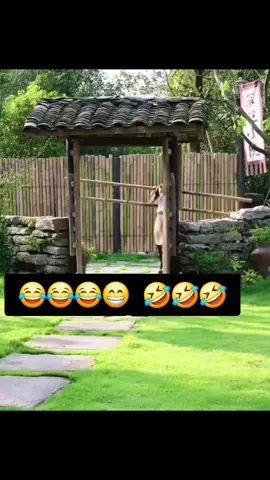 why All young girls like this 😂😂😂#philippinestiktok #pakistani_tik_tok #foryou #