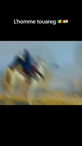 Pride♓️🙌🏻❤️🇳🇪 #Niger #sahel #toumast♓️ #Nomads #nigerienne🇳🇪✌🏻 