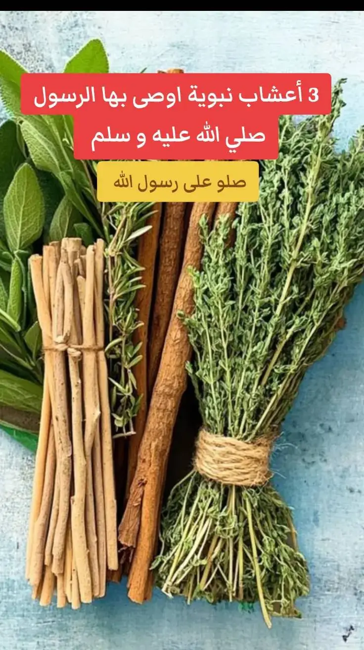 #صلوا على النبي صلى الله عليه وسلم