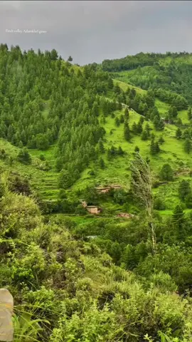 Tirah valley maidan very beautiful view of green ⛰️ and clouds ⛅️and beautiful weather 