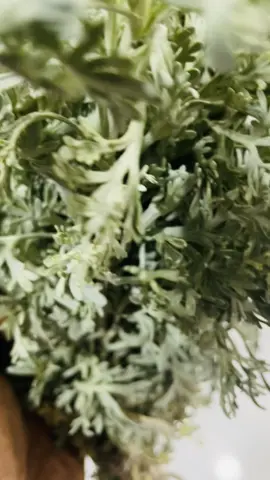 പേരറിയില്ല but the smell❤️ #creatorsearchinsights #jizantiktokers #jizan #fyp #ksa 