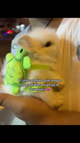 Mi bebé🐰❤️ #fypシ゚ #conejito #paratii 