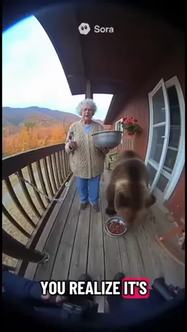 #stitch with @SoraLife this lady and Benny the bear are my life goals. @JAY where you at for this one?? #wildanimals #bear #grandma #bennythebear 