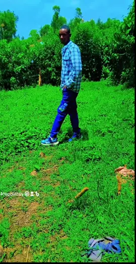 creator search insight @Yasin  g@@@@ 