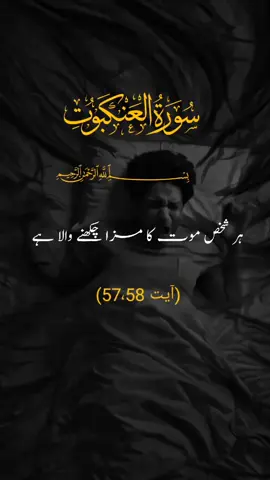 اور ہر شخص موت کا مزا چکھنے والا ہے #Foryou#ayatkarjuma#holybook#deen-islam#Trend 
