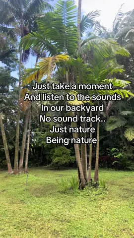 Just take a moment and enjoy #nature #soundon 